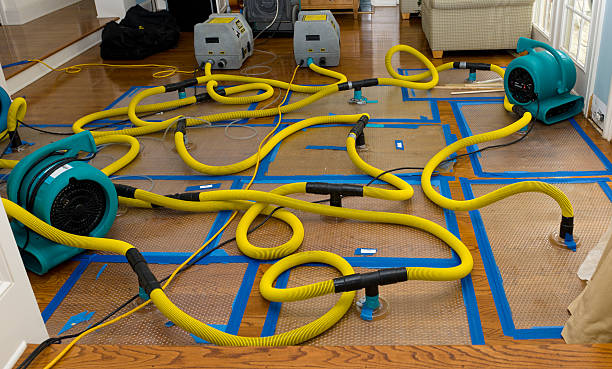 Professional Basement Flood Cleanup technician working in Wiley, GA